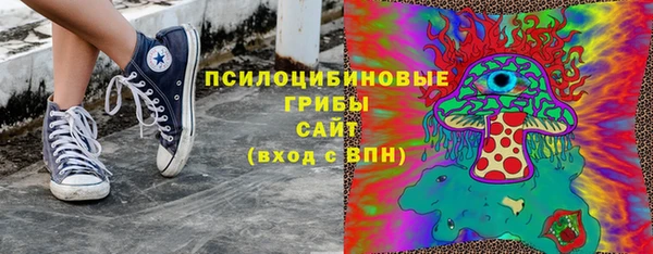 МДПВ Карпинск