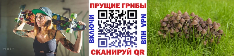Псилоцибиновые грибы ЛСД  Купить закладки  Малгобек 